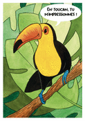 En toucan, tu m'impressionnes souvent !